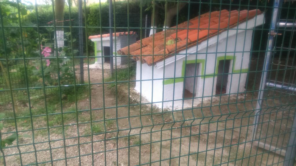 Apartamentos Labana Cudillero Dış mekan fotoğraf