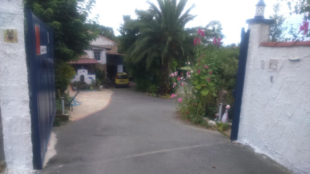 Apartamentos Labana Cudillero Dış mekan fotoğraf